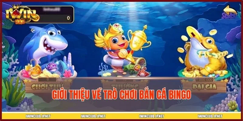 Một vài nét cơ bản về trò chơi bắn cá Bingo